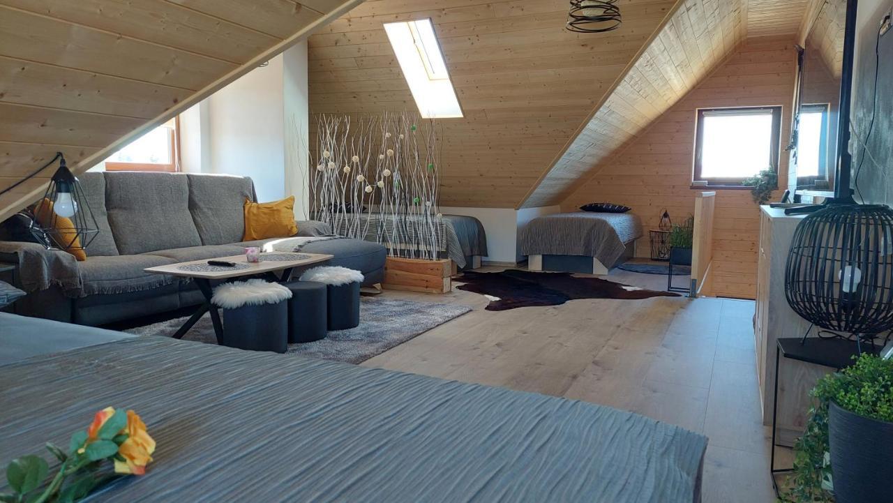 Apartman Pod Smrcinou Vaclavov u Bruntalu 外观 照片