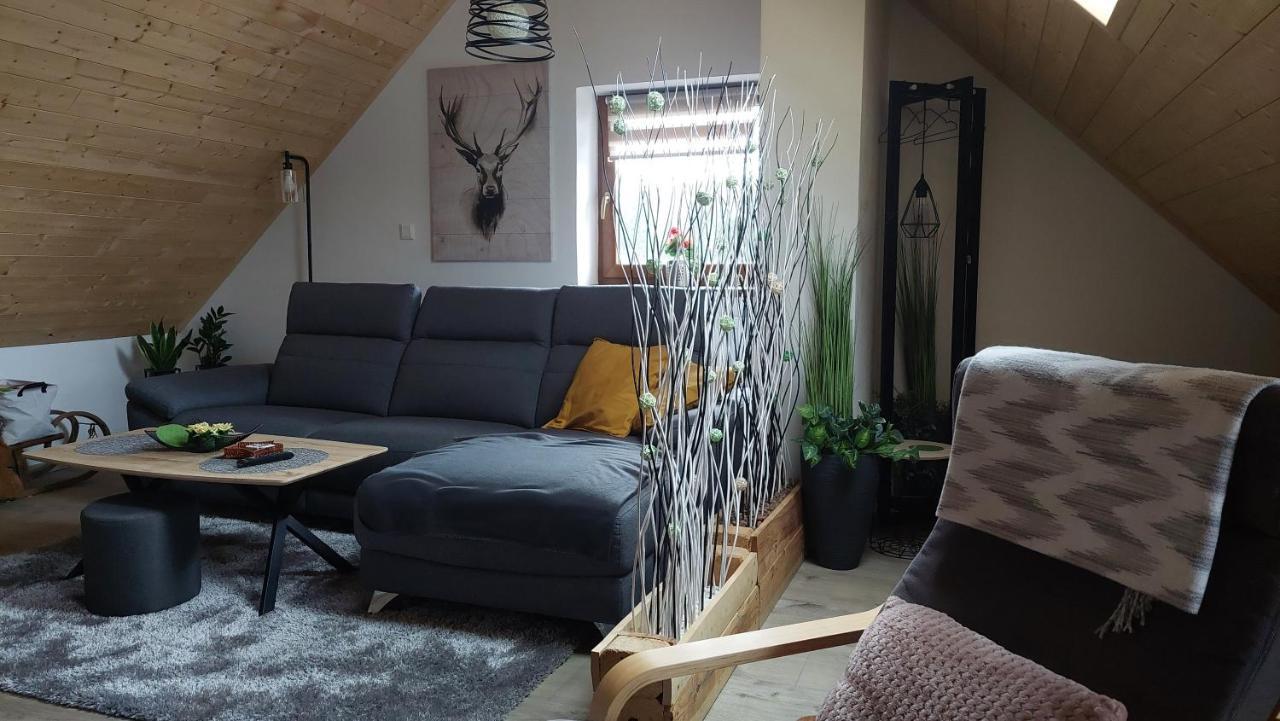 Apartman Pod Smrcinou Vaclavov u Bruntalu 外观 照片