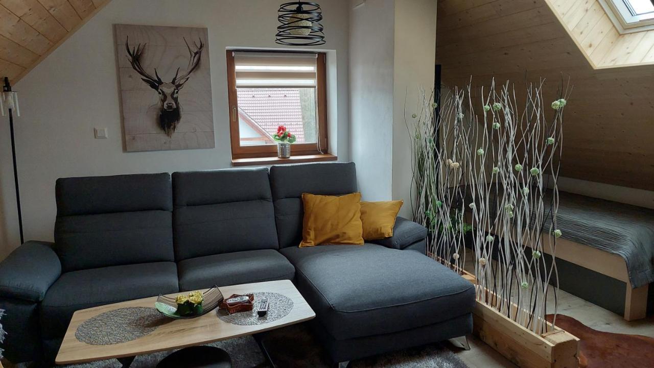 Apartman Pod Smrcinou Vaclavov u Bruntalu 外观 照片