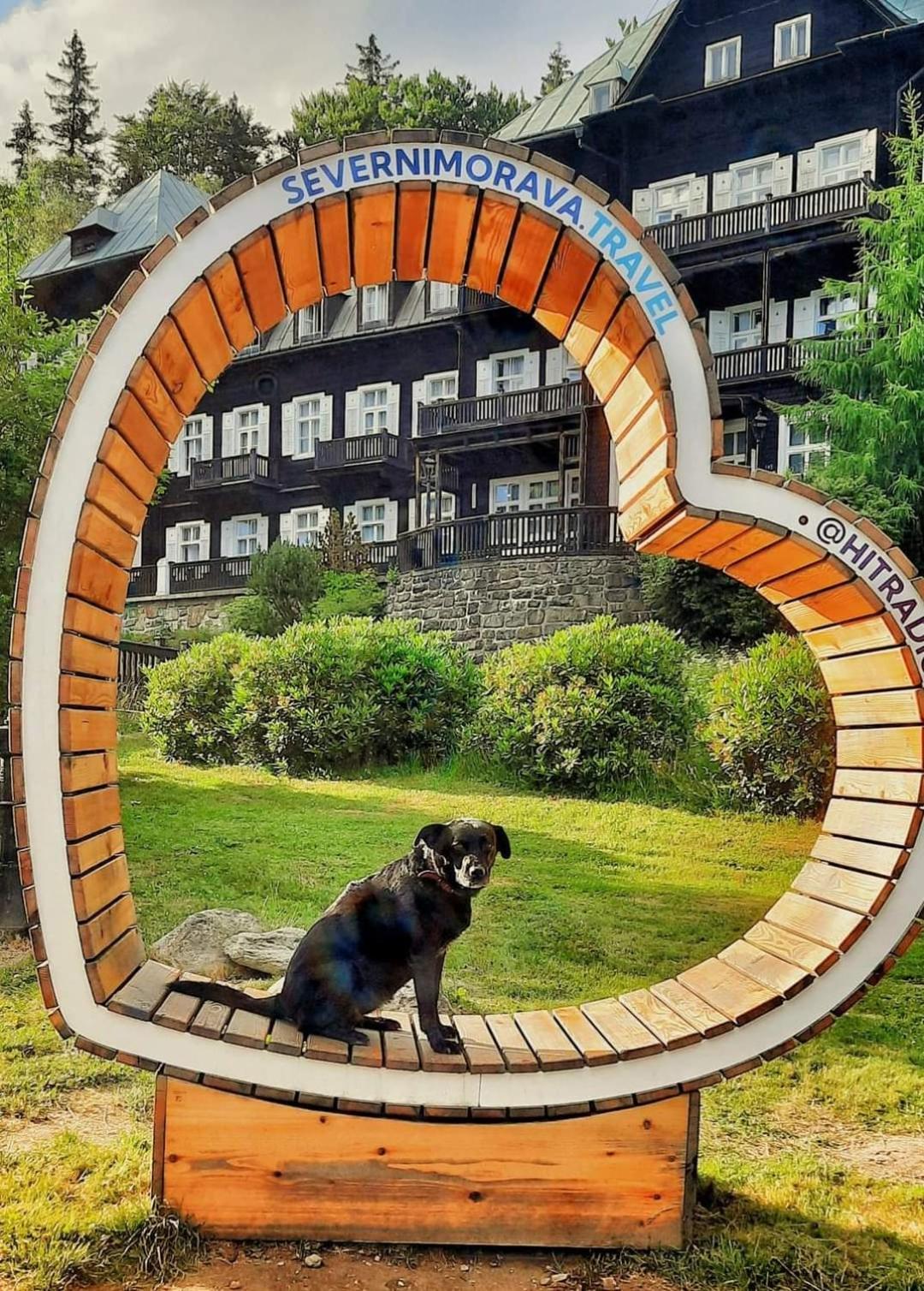 Apartman Pod Smrcinou Vaclavov u Bruntalu 外观 照片